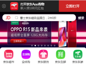 典型移动端网站：京东